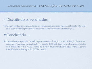 Actividade experimental  - extracção do ADN do kiwi Discutindo os resultados... Tendo em conta que os procedimentos foram seguidos com rigor, a coloração não terá sido bem evidente por alteração da qualidade do corante utilizado (?...) Concluindo ... Recomenda-se a repetição de todo o processo de coloração com a utilização de outros reagentes (o corante do protocolo - reagente de Schiff, bem como de outros corantes com afinidade com o ADN - verde de metilo, azul de metileno, água iodada...) para identificação e destaque do ADN extraído. 