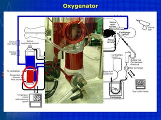 Oxygenator
 