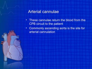 Arterial cannulae
• These cannulae return the blood from the
CPB circuit to the patient
• Commonly ascending aorta is the site for
arterial cannulation
 