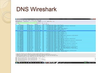 DNS Wireshark
 