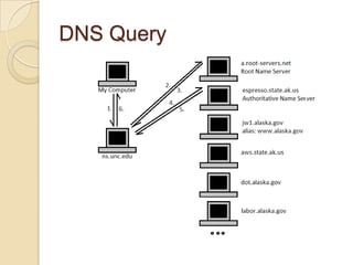 DNS Query
 