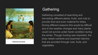 Gathering
Gathering consisted of searching and
harvesting different plants, fruits, and nuts to
provide food and even material for tribes.
During different seasons this would be difficult
due to the weather changes and many plants
could not survive under harsh condition during
the winter. Though hunting was important, the
body needs nutrients and essential vitamins
that are provided through nuts, fruits, and
vegetables.
 