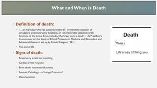 Death and Decomposition of the microbiome | PPTX