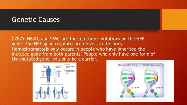 Case study haemochromatosis 07 picture