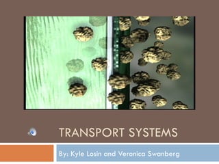 TRANSPORT SYSTEMS By: Kyle Losin and Veronica Swanberg 