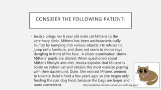 CONSIDER THE FOLLOWING PATIENT:
• Jessica brings her 6 year old male cat Mittens to the
veterinary clinic. Mittens has been uncharacteristically
clumsy by bumping into various objects. He refuses to
jump onto furniture, and does not seem to notice toys
dangling in front of his face. A closer examination shows
Mittens’ pupils are dilated. When questioned about
Mittens lifestyle and diet, Jessica explains that Mittens is
solely an indoor cat and obtains the most exercise playing
with their dachshund, Duke. She noticed Mittens seemed
to tolerate Duke’s food a few years ago, so she began only
feeding the pair dog food, because the bags are larger and
more convenient. http://picphotos.net/cute-cartoon-cat-with-big-eyes/
 
