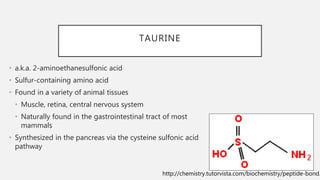 TAURINE
• a.k.a. 2-aminoethanesulfonic acid
• Sulfur-containing amino acid
• Found in a variety of animal tissues
• Muscle, retina, central nervous system
• Naturally found in the gastrointestinal tract of most
mammals
• Synthesized in the pancreas via the cysteine sulfonic acid
pathway
http://chemistry.tutorvista.com/biochemistry/peptide-bond.
 