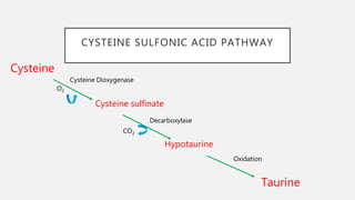 CYSTEINE SULFONIC ACID PATHWAY
Cysteine
Cysteine sulfinate
Hypotaurine
Taurine
Cysteine Dioxygenase
Decarboxylase
Oxidation
CO2
O2
 