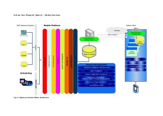 Extract from Blueprint Options – Mobile Solutions




Fig 7.1 High level Common Mobile Architecture
 