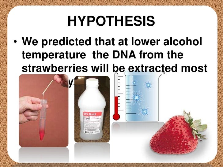 extracting dna from strawberries