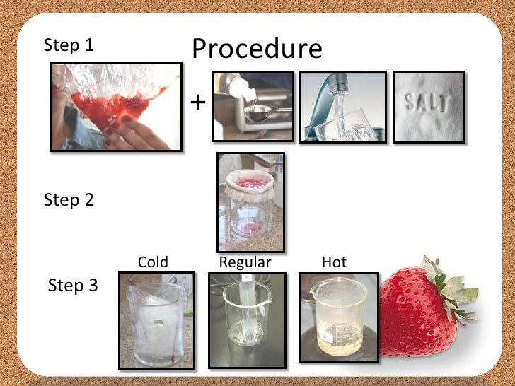 Extracting DNA from strawberries