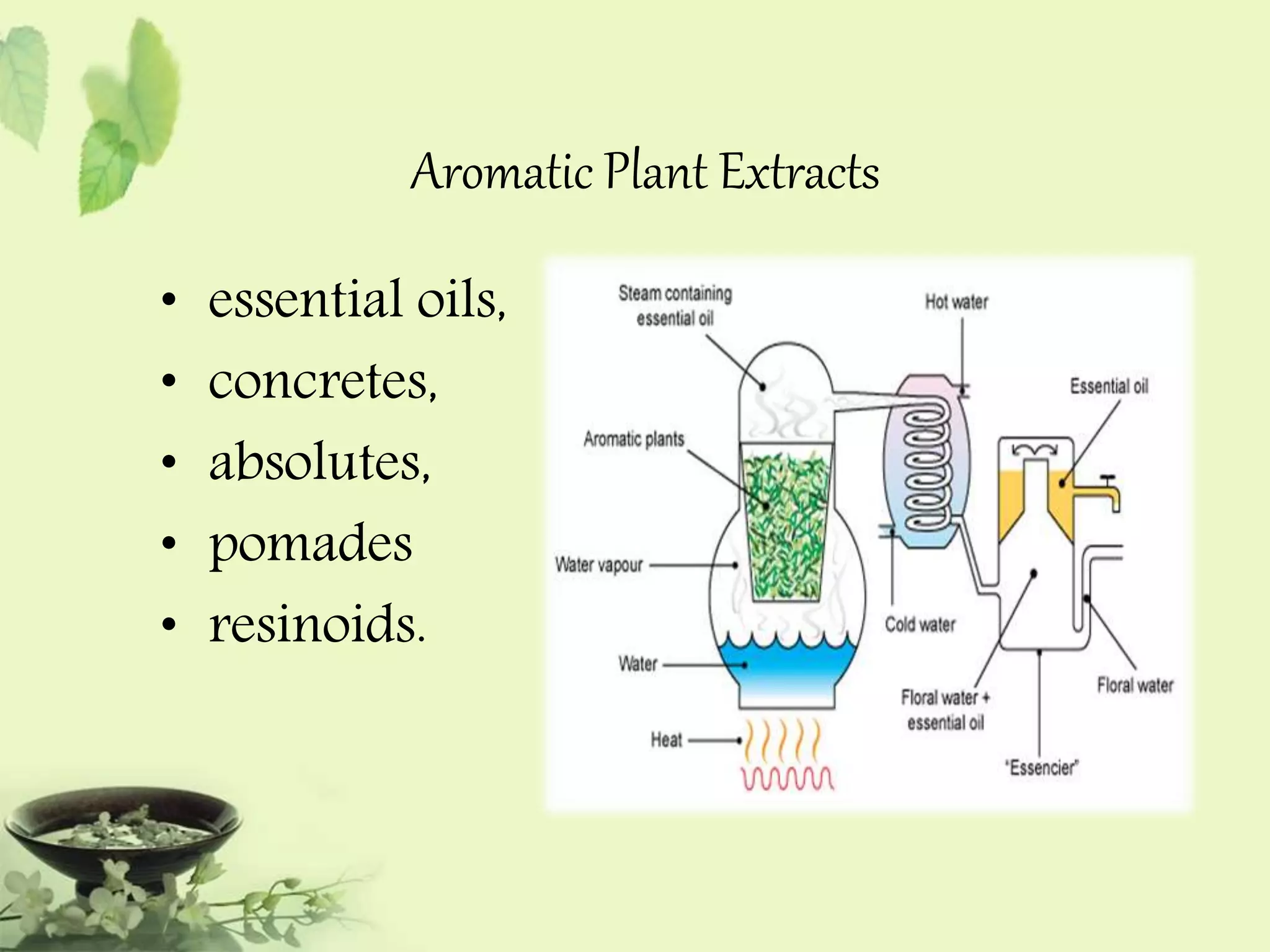 Aromatic Plant Extracts 
• essential oils, 
• concretes, 
• absolutes, 
• pomades 
• resinoids. 
 