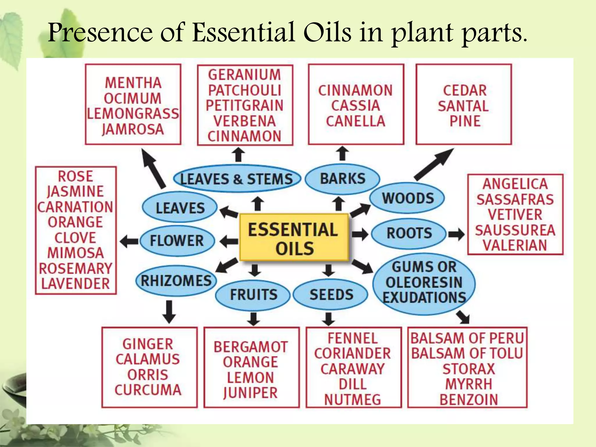 Presence of Essential Oils in plant parts. 
 
