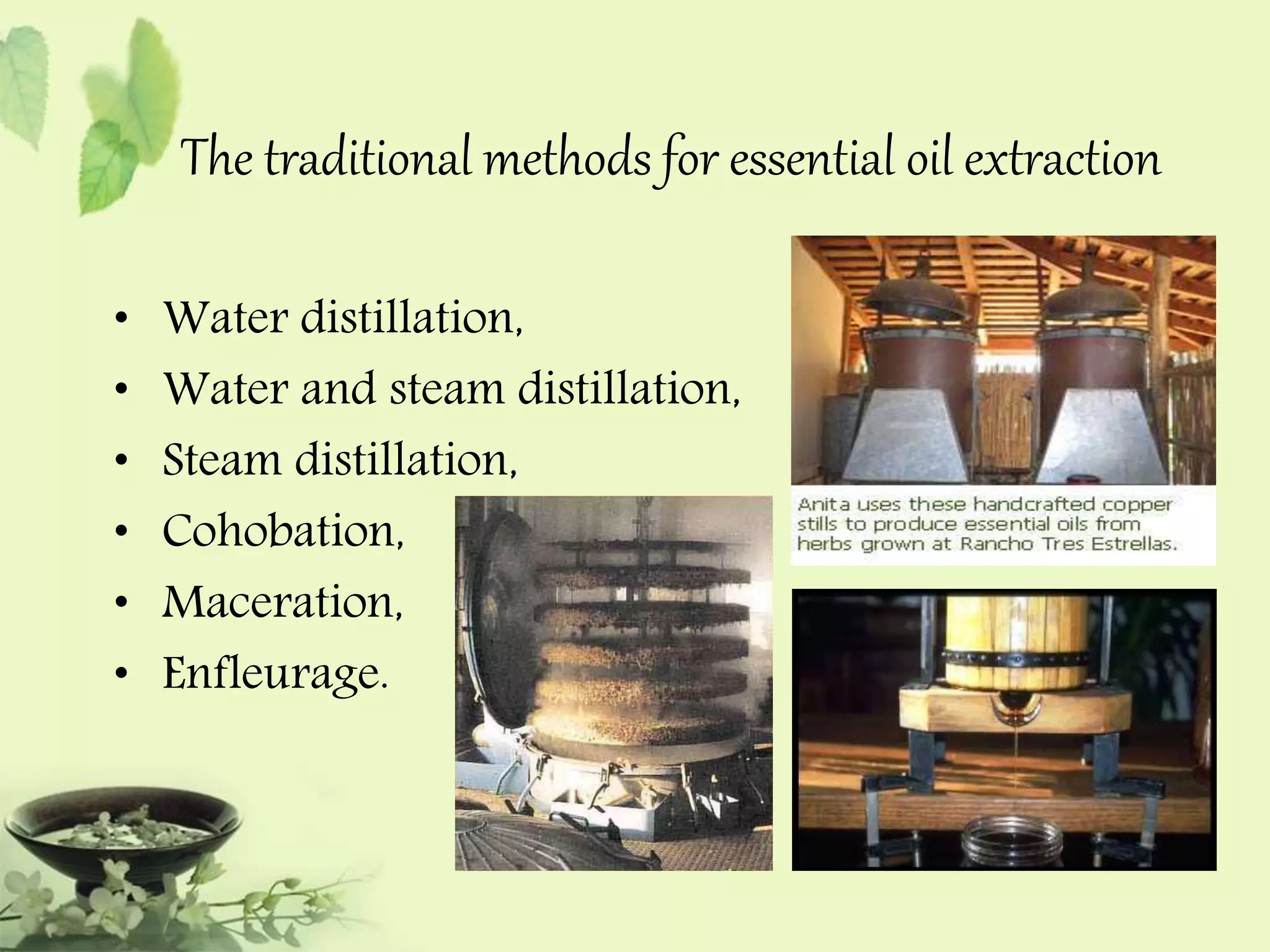 The traditional methods for essential oil extraction 
• Water distillation, 
• Water and steam distillation, 
• Steam distillation, 
• Cohobation, 
• Maceration, 
• Enfleurage. 
 