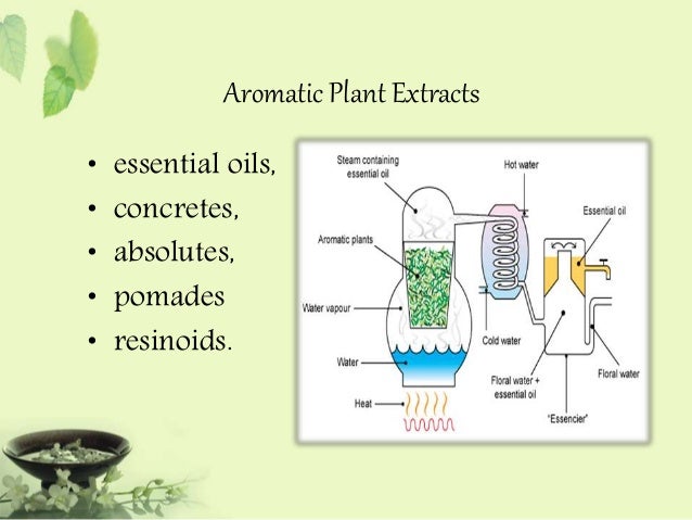 review phytochemical screening and extraction Phytochemical screening review - phytochemical screening and extraction phytochemical screening refers to the extraction, screening and identification of the. review phytochemical screening and extraction Phytochemical screening review - phytochemical screening and extraction phytochemical screening refers to the extraction, screening and identification of the.