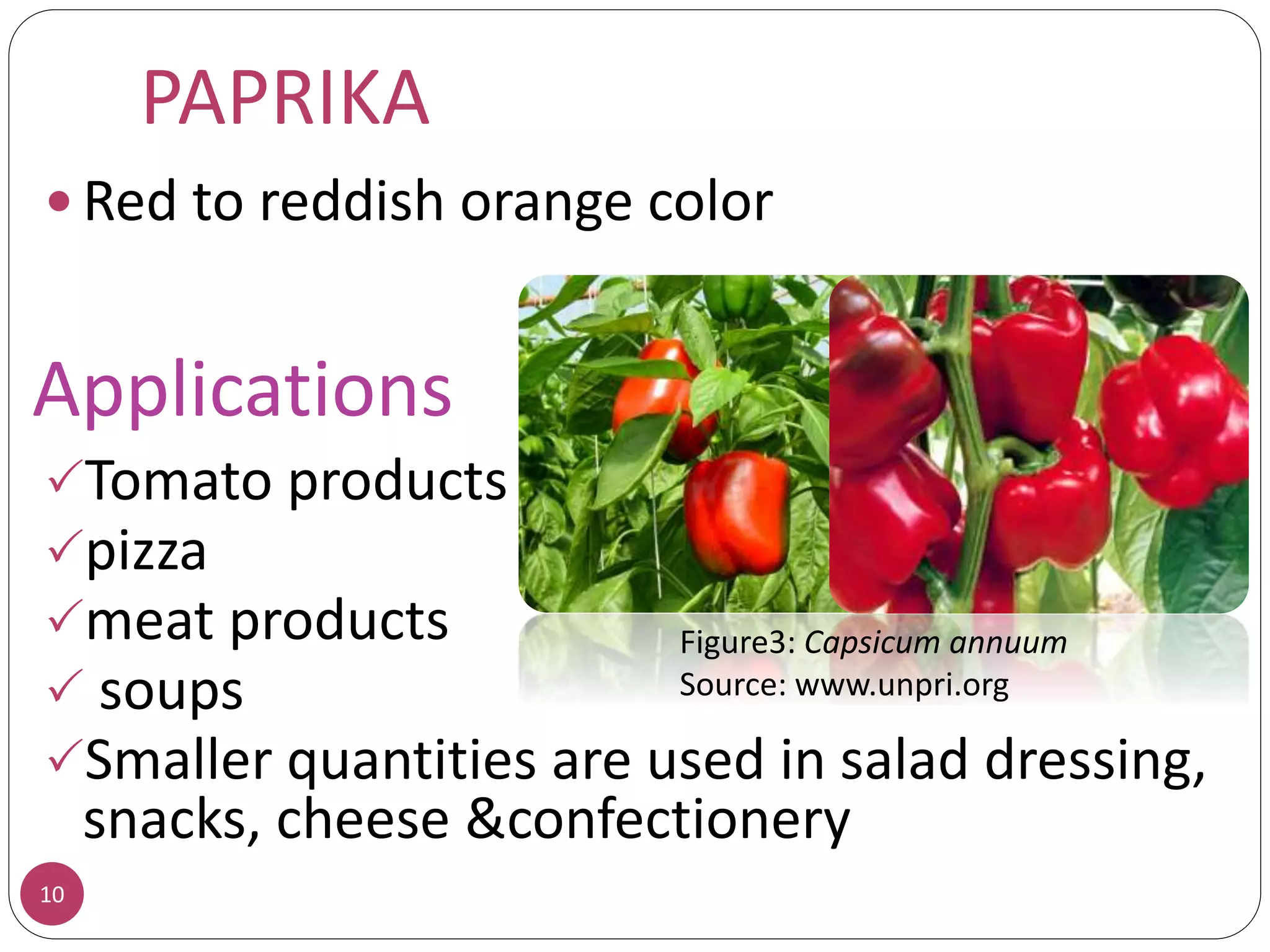 PAPRIKA
 Red to reddish orange color
Tomato products
pizza
meat products
 soups
Smaller quantities are used in salad dressing,
snacks, cheese &confectionery
10
Figure3: Capsicum annuum
Source: www.unpri.org
Applications
 