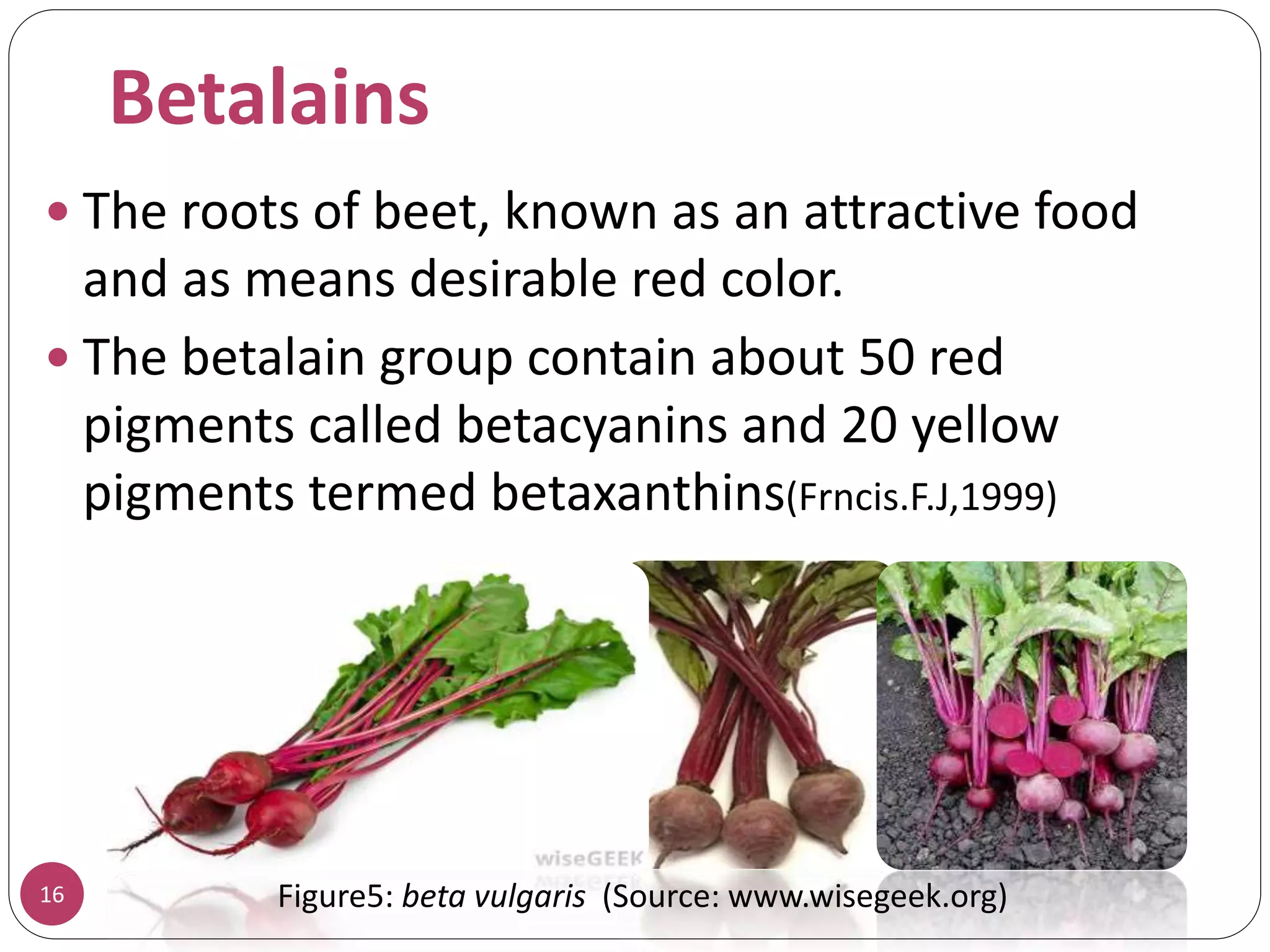 16
 The roots of beet, known as an attractive food
and as means desirable red color.
 The betalain group contain about 50 red
pigments called betacyanins and 20 yellow
pigments termed betaxanthins(Frncis.F.J,1999)
Figure5: beta vulgaris (Source: www.wisegeek.org)
Betalains
 