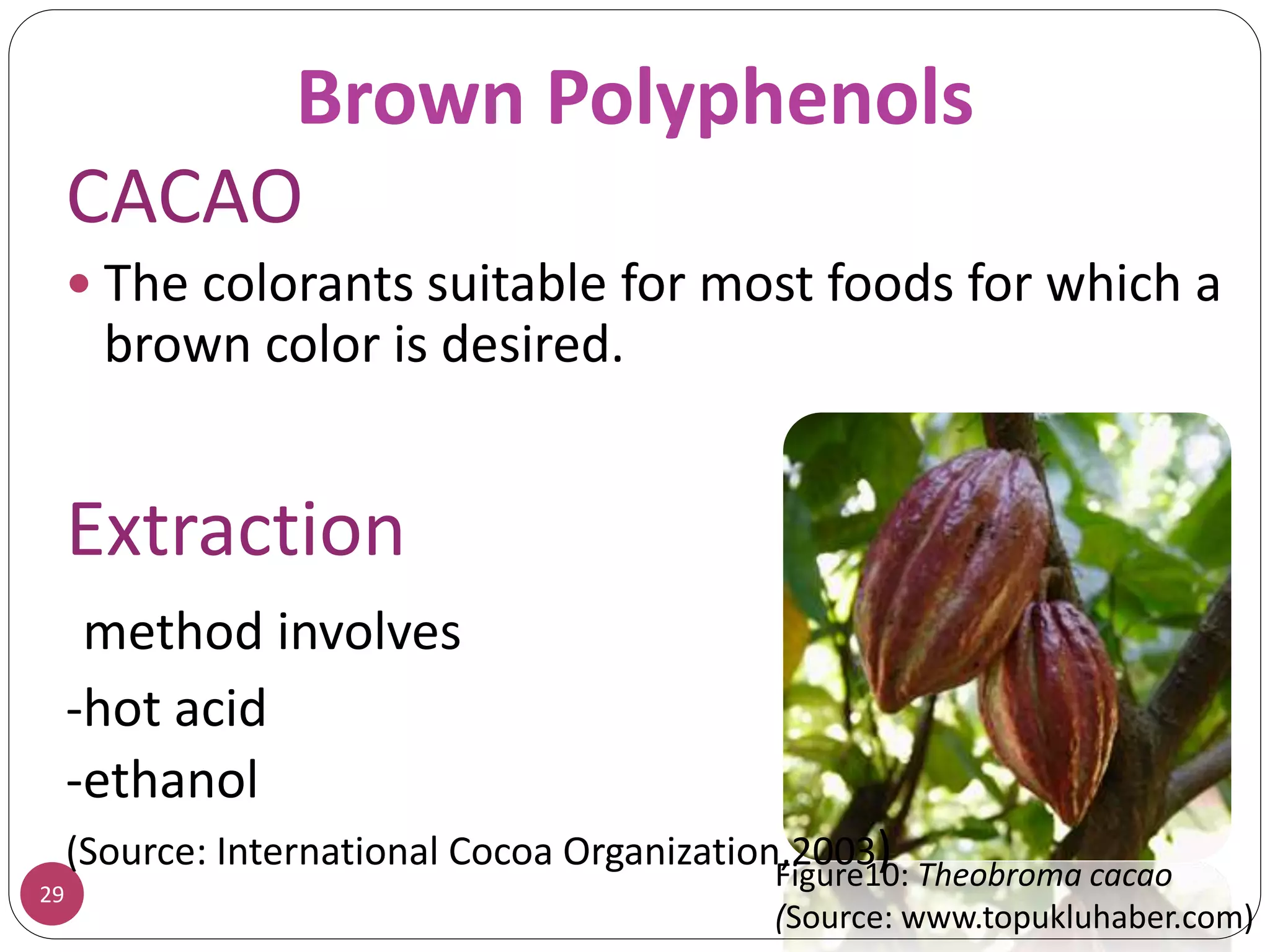 Brown Polyphenols
29
CACAO
 The colorants suitable for most foods for which a
brown color is desired.
Extraction
method involves
-hot acid
-ethanol
(Source: International Cocoa Organization,2003)Figure10: Theobroma cacao
(Source: www.topukluhaber.com)
 