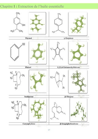 17
Chapitre I : Extraction de l’huile essentielle
Thymol γ-Terpinen
Phénol 1,2,3,4-Tetramethylfulvene
Isodiprene β-Thujene
Caryophyllene β-Sesquiphellandrene
 