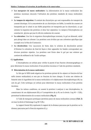 Matière: Techniques d’extraction, de purification et de conservation .
Dr. H. BENABDALLAH
-60-
 Les marqueurs de masse moléculaire: La détermination de la masse moléculaire des
protéines inconnues nécessite l’utilisation des protéines standards de masse moléculaire
connue.
 Le tampon de migration: Il contient des électrolytes qui sont responsables du transport du
courant électrique. Si la concentration de ces électrolytes est faible, la totalité du courant est
transportée par le soluté et une faible proportion est transportée par les électrolytes, ce qui
entraine la migration des protéines et donc leur séparation. Le tampon d’électrophorèse est
constitué de glycine qui joue le rôle de conducteur de courant.
 La coloration: Une fois la migration électrophorétique terminée, le gel est démoulé, séché
puis plongé dans un colorant. Les protéines sont révélées par une coloration spécifique (par
exemple avec le bleu de Coomassie).
 La décoloration: Une succession de bains dans la solution de décoloration permet
d’éliminer la coloration du fond de façon à faire apparaître les bandes correspondant aux
diverses protéines séparées. Les protéines sont fixées dans le gel par une solution qui
contient du méthanol et de l’acide acétique.
C) Applications
L’électrophorèse est utilisée pour vérifier la pureté d’une fraction chromatographique et
pour déterminer la masse moléculaire d’une protéine inconnue à l’aide des protéines standards.
 Détermination de la masse moléculaire
Le fait que le SDS rende négatives les protéines permet de les séparer en fonction de leur
taille (masse moléculaire) et non pas en fonction de leurs charges. Il existe une relation de
linéarité entre le logarithme de la masse moléculaire et le déplacement électrophorétique (Rf) au
sein du gel. Cette technique est utilisée pour déterminer la masse moléculaire d’une protéine
inconnue.
Dans les mêmes conditions, on soumet la protéine à analyser à une électrophorèse, la
connaissance de son déplacement (Rf) et l’extrapolation de ce Rf sur la droite: Log M = f (Rf),
permettent la détermination de sa masse moléculaire (Fig. 6).
A l’aide de marqueurs protéiques (protéines pures de masse moléculaire connue) (Tab. 2)
on trace la droite d’étalonnage Log M=f (Rf).
Le rapport frontal (Rf) représente le rapport de la distance parcourue par la protéine sur la
distance parcourue par le front de migration (Fm).
 