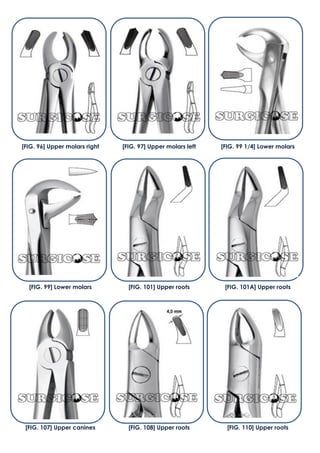 [FIG. 107] Upper canines [FIG. 108] Upper roots [FIG. 110] Upper roots
[FIG. 96] Upper molars right [FIG. 97] Upper molars left [FIG. 99 1/4] Lower molars
[FIG. 99] Lower molars [FIG. 101] Upper roots [FIG. 101A] Upper roots
 