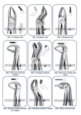 [FIG. 111] Upper roots [FIG. 112] Upper roots [FIG. 113] Upper roots
[FIG. 114] Lower roots and
centrals
[FIG. 121] Upper wisdoms [FIG. 122] Lower centrals and
roots
[FIG. 123] Lower teeth and roots,
for children
[FIG. 130] Upper wisdoms 190 MM [FIG. 133] for very fine roots
 