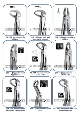 [FIG. 161] Lower molars, for
children
[FIG. 162] Lower roots and
centrals, for children
[FIG. 163] Upper centrals, for
children
[FIG. 166] Upper Universal
Application
[FIG. 167] Universal Pattern for
Lower Teeth
[FIG. 168] Upper central and
lateral teeth
[FIG. 169] Centrals laterals
premolars & lower canines
[FIG. 171] Wisdom and molar
roots
[FIG. 173] Lingually inclined roots
and wisdom teeth
 