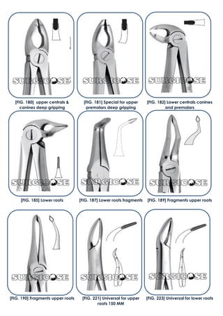 [FIG. 180] upper centrals &
canines deep gripping
[FIG. 181] Special for upper
premolars deep gripping
[FIG. 182] Lower centrals canines
and premolars
[FIG. 185] Lower roots [FIG. 187] Lower roots fragments [FIG. 189] Fragments upper roots
[FIG. 190] Fragments upper roots [FIG. 221] Universal for upper
roots 150 MM
[FIG. 223] Universal for lower roots
 