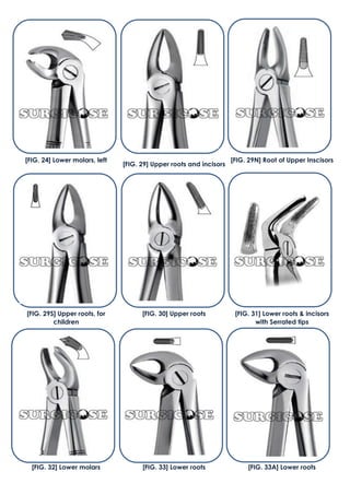 [FIG. 32] Lower molars [FIG. 33] Lower roots [FIG. 33A] Lower roots
[FIG. 24] Lower molars, left
[FIG. 29] Upper roots and incisors
[FIG. 29N] Root of Upper Inscisors
[FIG. 29S] Upper roots, for
children
[FIG. 30] Upper roots [FIG. 31] Lower roots & incisors
with Serrated tips
 