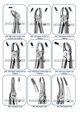 [FIG. 41] Upper roots [FIG. 44] Upper roots [FIG. 44F] Upper roots
[FIG. 38] Lower incisors and
canines, for children
[FIG. 39] Upper molars, for
children
[FIG. 39A] Upper molars, for
children
[FIG. 39L] Upper molars left, for
children
[FIG. 39R] Upper molars right, for
children
[FIG. 40] Lower molars, for
children
 