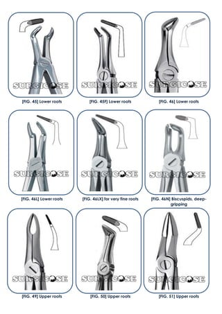 [FIG. 49] Upper roots [FIG. 50] Upper roots [FIG. 51] Upper roots
[FIG. 45] Lower roots [FIG. 45F] Lower roots [FIG. 46] Lower roots
[FIG. 46L] Lower roots [FIG. 46LX] for very fine roots [FIG. 46N] Biscuspids, deep-
gripping
 