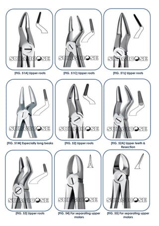 [FIG. 53] Upper roots [FIG. 54] For separating upper
molars
[FIG. 55] For separating upper
molars
[FIG. 51A] Upper roots [FIG. 51C] Upper roots [FIG. 51L] Upper roots
[FIG. 51M] Especially long beaks [FIG. 52] Upper roots [FIG. 52A] Upper teeth &
Resection
 