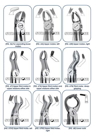 [FIG. 67LX] Upper third molar, left [FIG. 67RX] Upper third molar,
right
[FIG. 68] Lower roots
[FIG. 56] For separating lower
molars
[FIG. 65L] Upper molars, left [FIG. 65R] Upper molars, right
[FIG. 67] Upper third molars &
upper wisdoms either side
[FIG. 67A] Upper third molars and
upper wisdoms either side
[FIG. 67N] Third molar, deep-
gripping
 