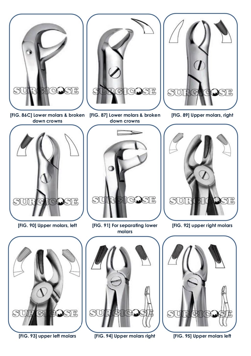 EXTRACTION FORCEPS (ENGLISH PATTERN) [SURGICOSE PK]