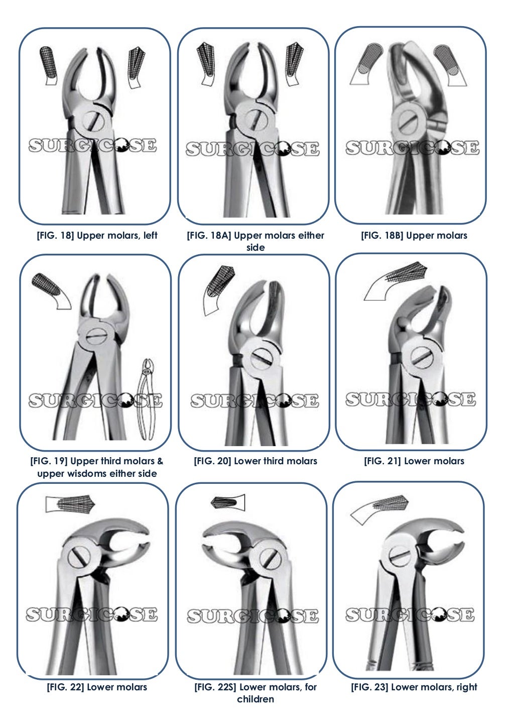EXTRACTION FORCEPS (ENGLISH PATTERN) [SURGICOSE PK]