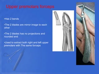 Upper premolars forceps
•Has 2 bends
•The 2 blades are mirror image to each
other
•The 2 blades has no projections and
rounded end
•Used to extract both right and left upper
premolars with The same forceps
 