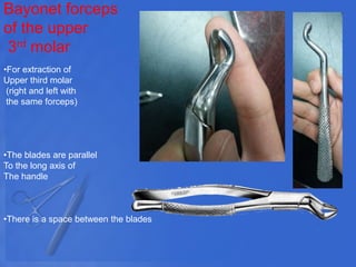 Bayonet forceps
of the upper
3rd molar
•For extraction of
Upper third molar
(right and left with
the same forceps)
•The blades are parallel
To the long axis of
The handle
•There is a space between the blades
 