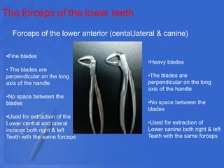 The forceps of the lower teeth
Forceps of the lower anterior (cental,lateral & canine)
•Fine blades
• The blades are
perpendicular on the long
axis of the handle
•No space between the
blades
•Used for extraction of the
Lower central and lateral
incisors both right & left
Teeth with the same forceps
•Heavy blades
•The blades are
perpendicular on the long
axis of the handle
•No space between the
blades
•Used for extraction of
Lower canine both right & left
Teeth with the same forceps
 