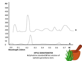 0.0 0.1
Wavelength: 210nm
0.2 0.3 0.4 0.5 0.6
HPTLC DENSITOMETER
A:Ephedrine standard B:Test solution of
ephedra gerardiana stem.
0.7 Rf
500
450
400
350
300
250
200
150
100
50
0
B
A
AU
 