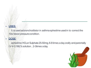 – USES:
It isusedasbronchodilator in asthmaephedrineusedin to correct the
10w blood pressurecondition.
– DOSE:
ephedrine HCLor Sulphate25-50mg,6-8times adayorally andparentally
I.V 0.1ML%solution , 2-3times aday
.
 