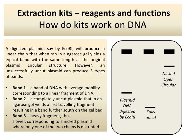 Extraction Kits How Do Kits Work On Dna