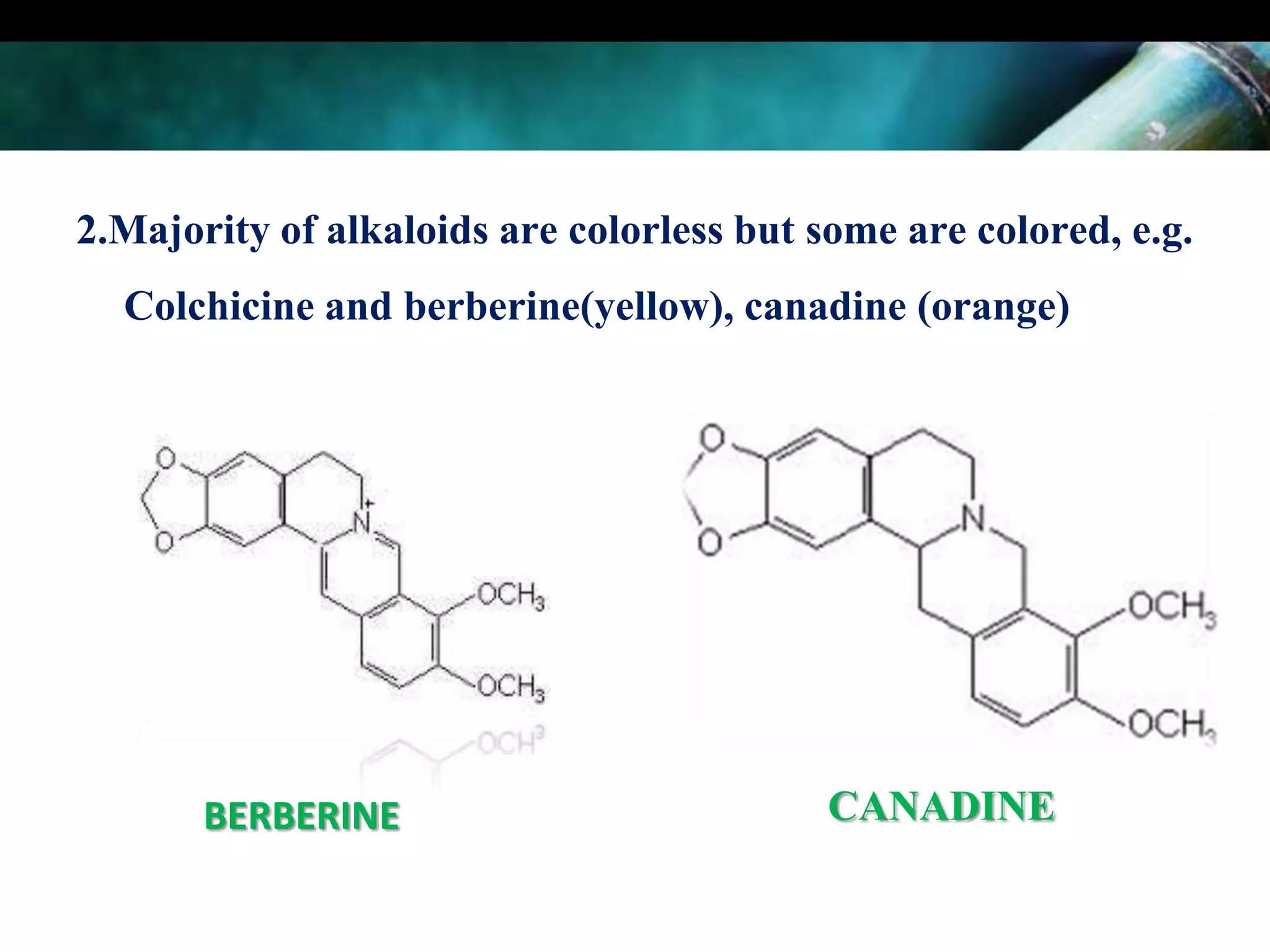 2.Majority of alkaloids are colorless but some are colored, e.g.
Colchicine and berberine(yellow), canadine (orange)

BERBERINE

CANADINE

 