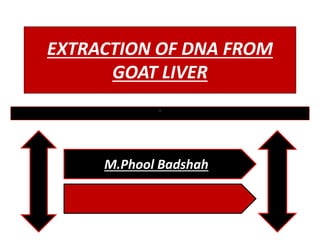 EXTRACTION OF DNA FROM
GOAT LIVER
a
M.Phool Badshah
 