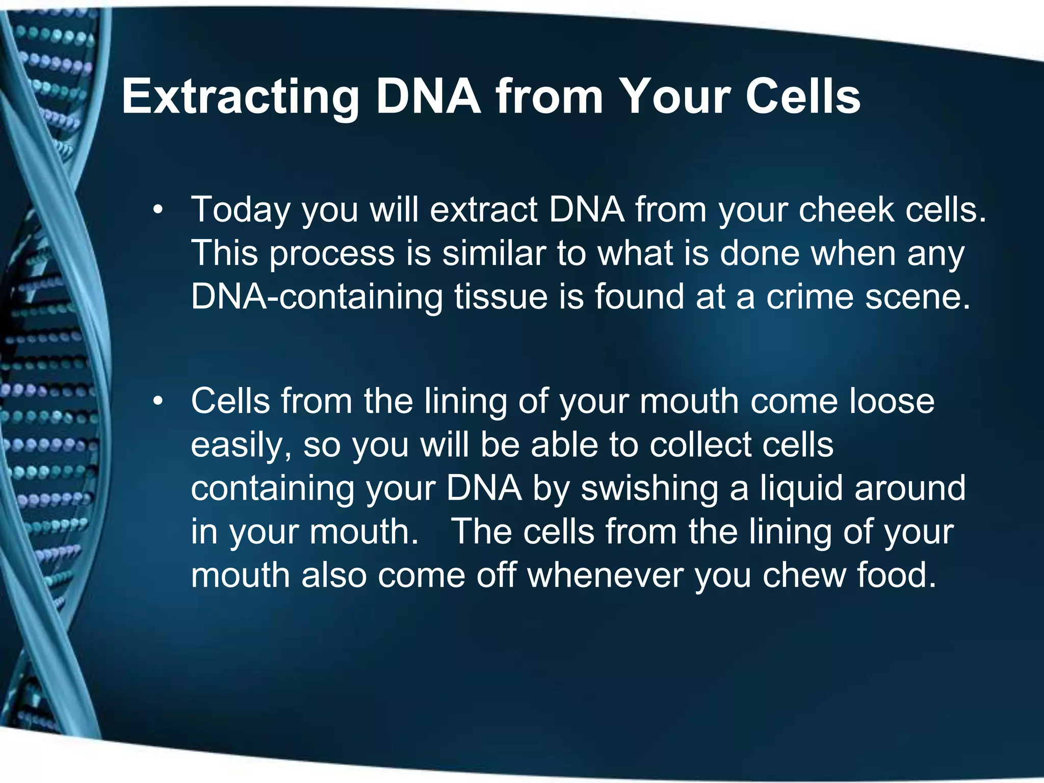 Extraction of DNA from human cheek cells | PPTX