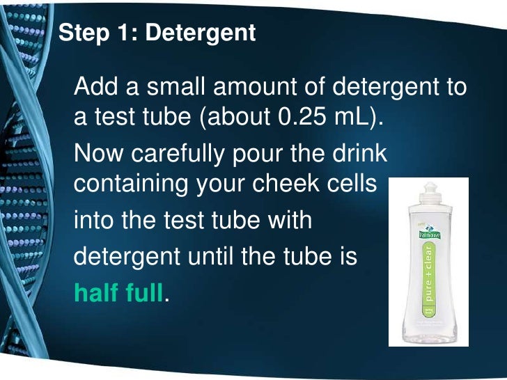 Extraction of DNA from human cheek cells