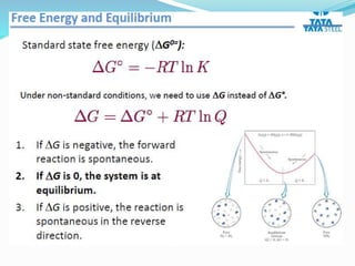 Extraction of elements | PPTX