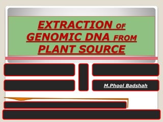 EXTRACTION OF
GENOMIC DNA FROM
PLANT SOURCE
M.Phool Badshah
 