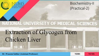 Extraction of Glycogen from
Chicken Liver
Dr .Waseem Safdar (Assistant Professor) NDBS NUMS
Biochemistry-II
(Practical-2)
 