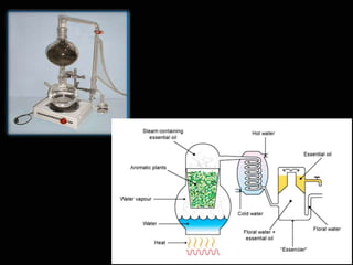 Extraction of phytochemicals | PDF