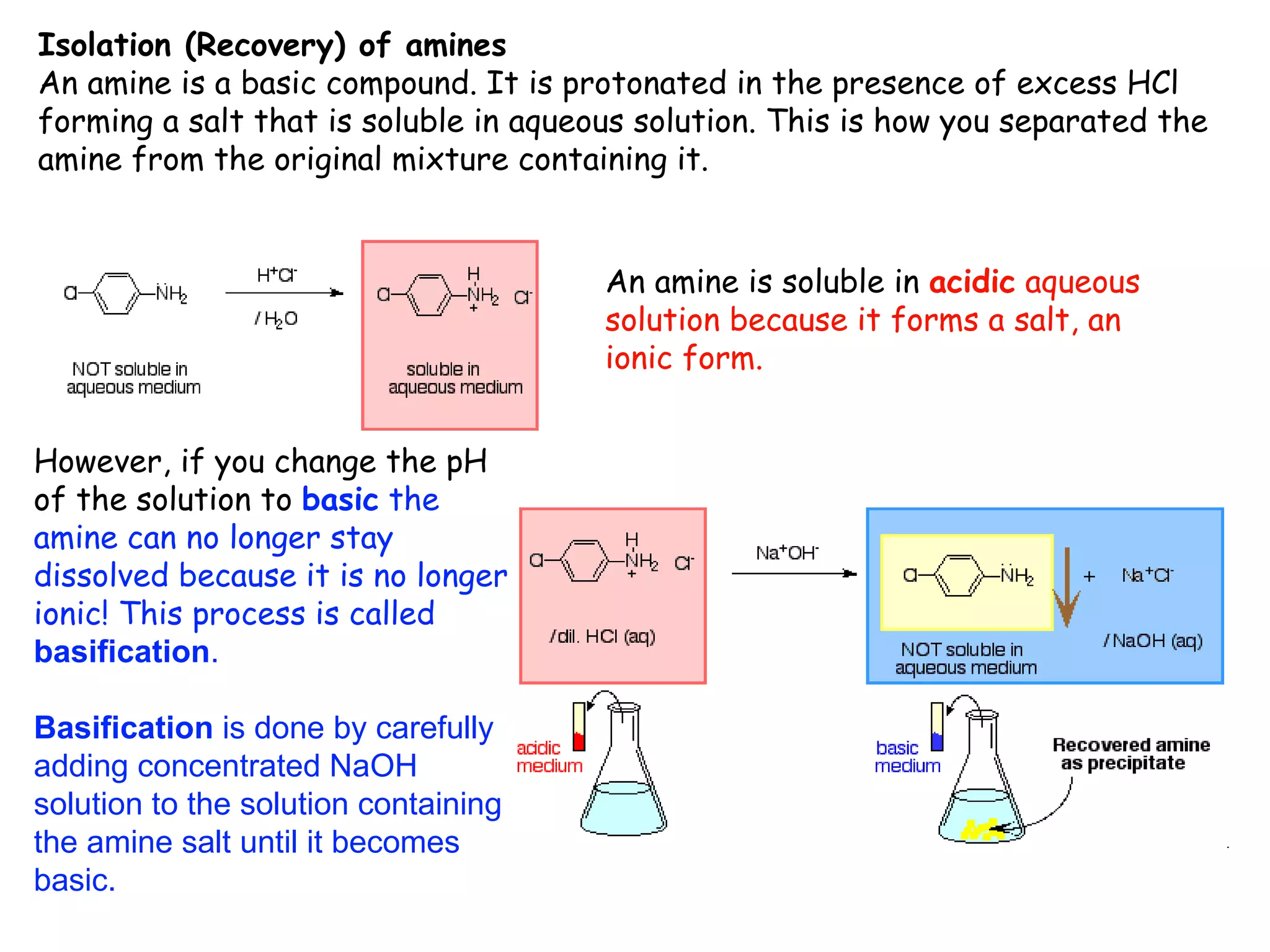 Isolation (Recovery) of amines
An amine is a basic compound. It is protonated in the presence of excess HCl
forming a salt that is soluble in aqueous solution. This is how you separated the
amine from the original mixture containing it.


                                       An amine is soluble in acidic aqueous
                                       solution because it forms a salt, an
                                       ionic form.


However, if you change the pH
of the solution to basic the
amine can no longer stay
dissolved because it is no longer
ionic! This process is called
basification.

Basification is done by carefully
adding concentrated NaOH
solution to the solution containing
the amine salt until it becomes
basic.
 